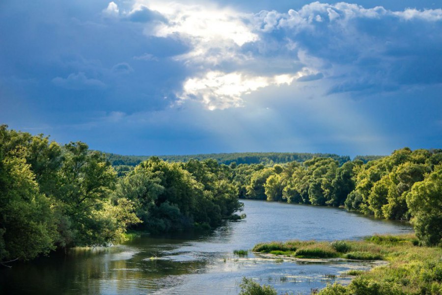 Дельта реки дон фото